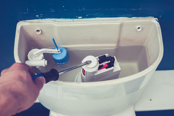 Why Plumbers Say A Runny Forest Lake Toilet Will Drain Your Savings