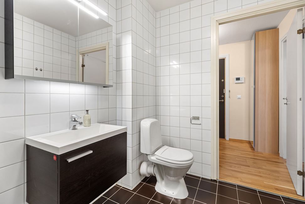 What To Do If Your Toilet Flapper Leaks After Replacement